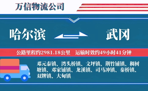 哈尔滨到武冈物流公司