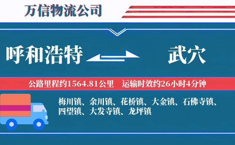 呼和浩特到武穴物流公司