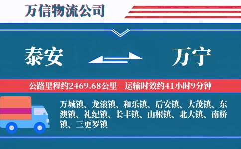 泰安到万宁物流公司
