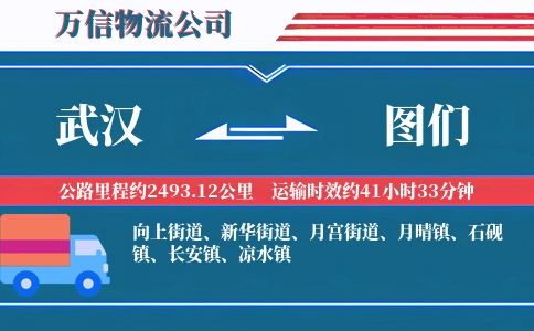 武汉到图们物流公司